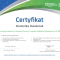 Powiększ obraz: certificate 77