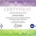 Powiększ obraz: certificate 21