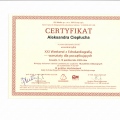 Powiększ obraz: certificate 7
