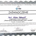 Powiększ obraz: certificate 9