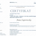 Powiększ obraz: certificate 7