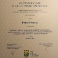Powiększ obraz: certificate 11