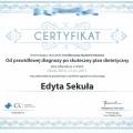 Powiększ obraz: certificate 22