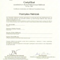 Powiększ obraz: certificate 1