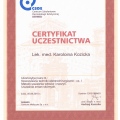 Powiększ obraz: certificate 4