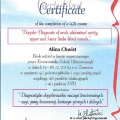 Powiększ obraz: certificate 7