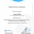 Powiększ obraz: certificate 6