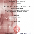 Powiększ obraz: certificate 4