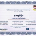 Powiększ obraz: certificate 19