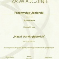 Powiększ obraz: certificate 28