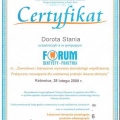 Powiększ obraz: certificate 2