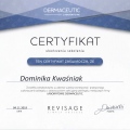 Powiększ obraz: certificate 87
