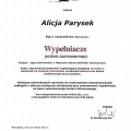 Powiększ obraz: certificate 21