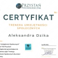 Powiększ obraz: certificate 5