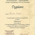 Powiększ obraz: certificate 19