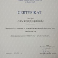 Powiększ obraz: certificate 42
