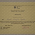 Powiększ obraz: certificate 11