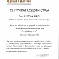 Powiększ obraz: certificate 23