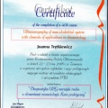 Powiększ obraz: certificate 6