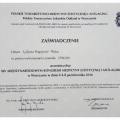 Powiększ obraz: certificate 31
