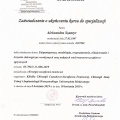 Powiększ obraz: certificate 20