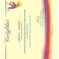 Powiększ obraz: certificate 4
