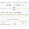 Powiększ obraz: certificate 29