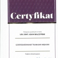 Powiększ obraz: certificate 42