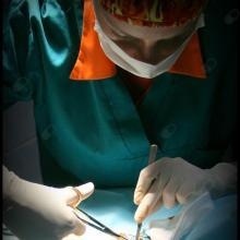 Powiększ obraz: Radochna Iłłakowicz, weterynarz Wrocław