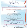 Powiększ obraz: certificate 7