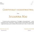 Powiększ obraz: certificate 19