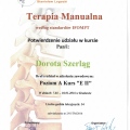 Powiększ obraz: certificate 3