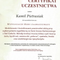 Powiększ obraz: certificate 20