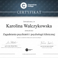 Powiększ obraz: certificate 7