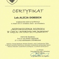 Powiększ obraz: certificate 5