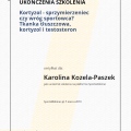 Powiększ obraz: certificate 29