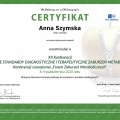 Powiększ obraz: certificate 33