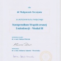 Powiększ obraz: certificate 4