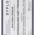 Powiększ obraz: certificate 7