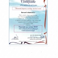 Powiększ obraz: certificate 5