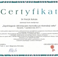 Powiększ obraz: certificate 20