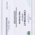 Powiększ obraz: certificate 8