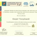 Powiększ obraz: certificate 2