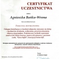 Powiększ obraz: certificate 6