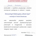 Powiększ obraz: certificate 4