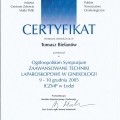 Powiększ obraz: certificate 8