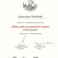 Powiększ obraz: certificate 9