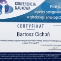 Powiększ obraz: certificate 12