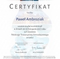 Powiększ obraz: certificate 32
