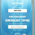 Powiększ obraz: certificate 4